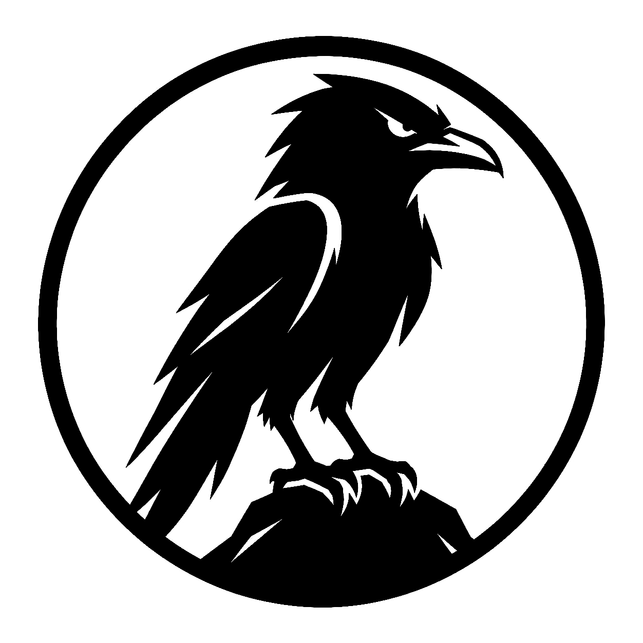 Raven Labs